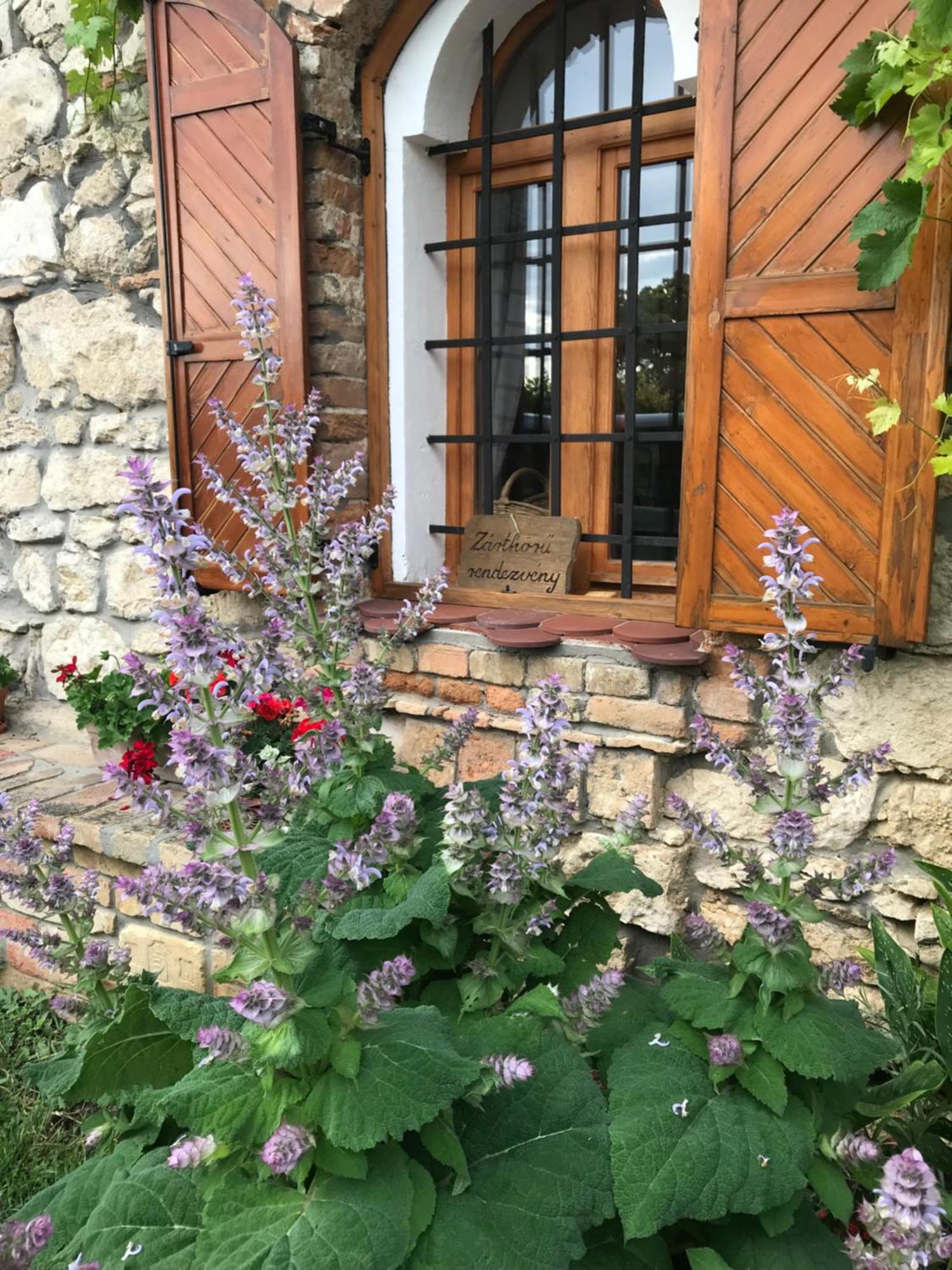 Cifrapince és Vendégház Tordas Extérieur photo